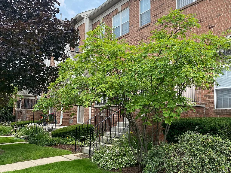 2944 Prince Hall Dr #1728 — Photo 46