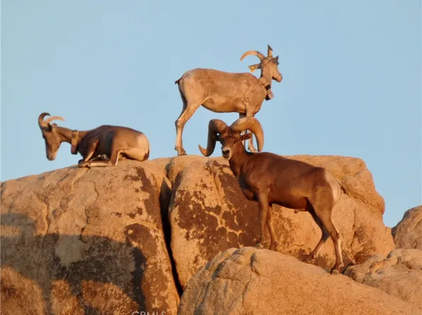 0 Foothill Dr, Joshua Tree, CA 92252