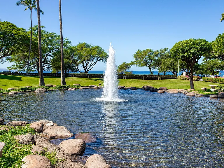 S Kihei Rd — Photo 40