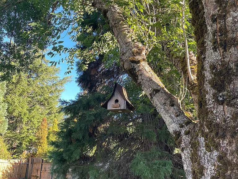 1713 Eugene St — Photo 27