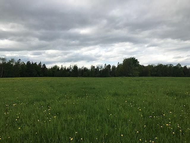 2nd image of 85C Norton Hill Road