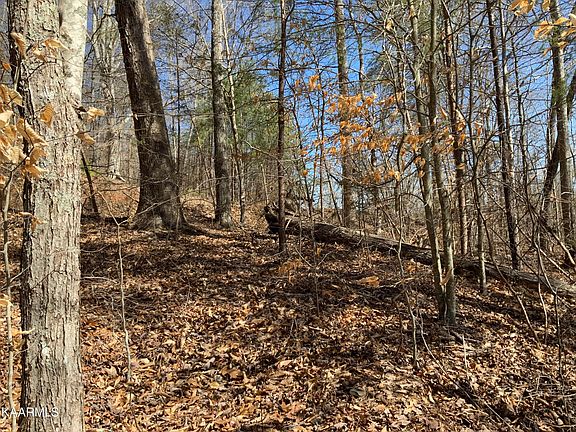 3rd image of L-94 Hidden Cove Ln