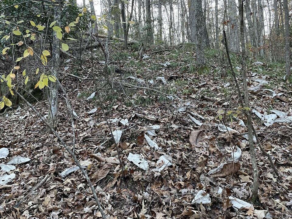 1st image of 24 Whippoorwill Dr