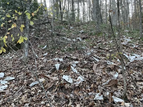 24 Whippoorwill Dr, Double Springs, AL 35553