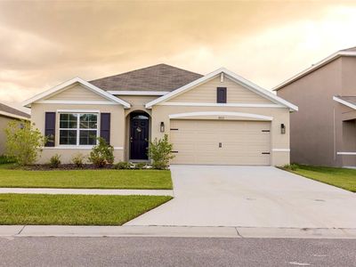 10211 Cloudburst Ct, Riverview, FL, 33578