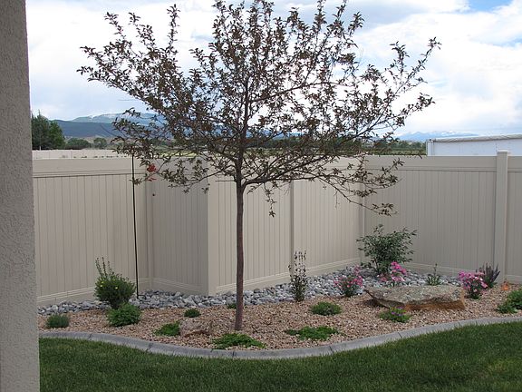  So. East Side of Back Yard