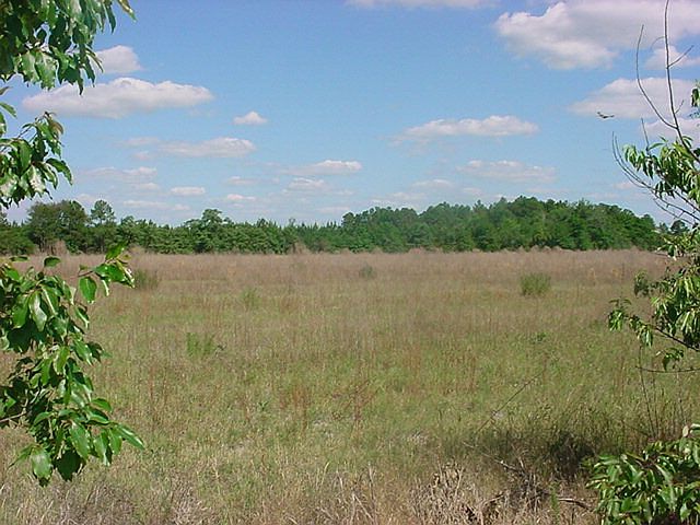 2nd image of 1670 Crawford Dairy Rd