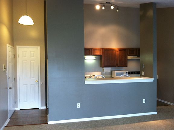 Kitchen/Living Room