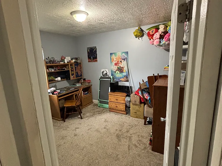 325 W 1100 N — Photo 20