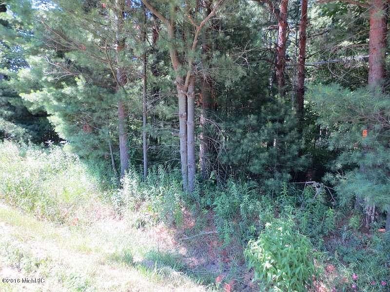 2nd image of 4381 Cline Rd