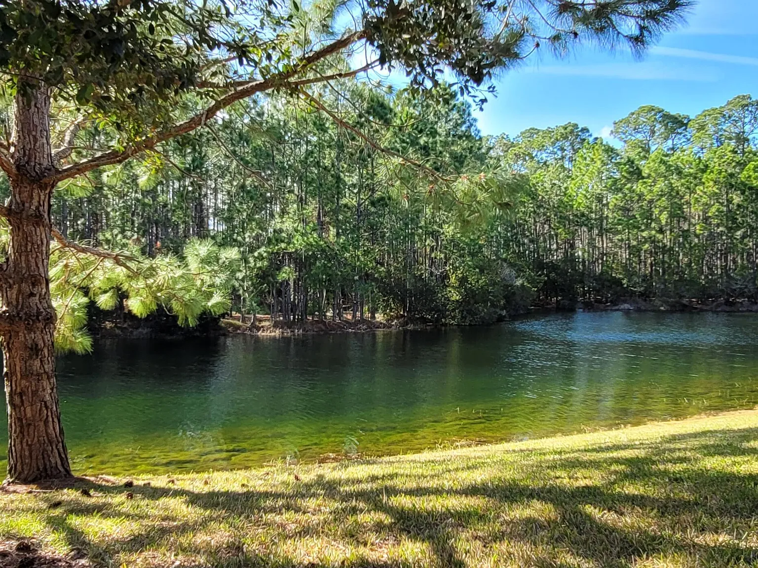 3 bed, 2.0 bath, 1510 sqft, $2,400 — Photo 4