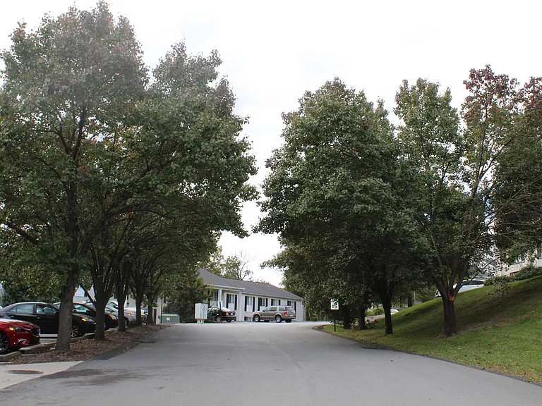 Alder Ridge — Photo 28