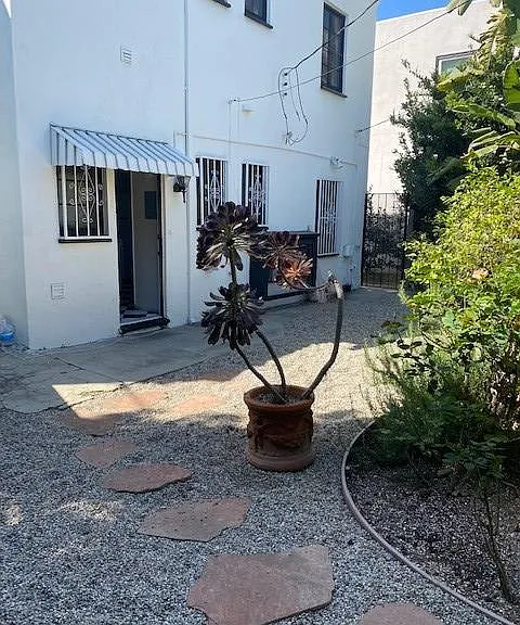 Back yard
