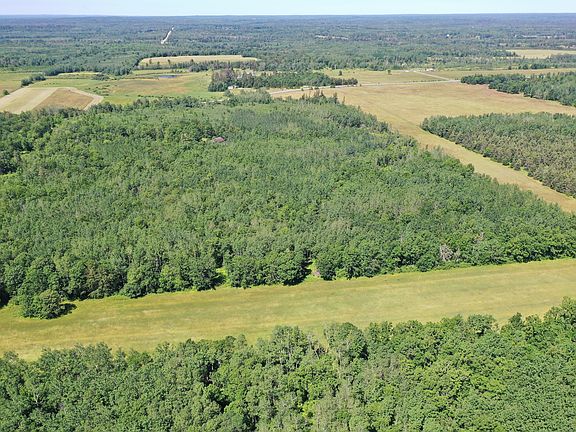 4th image of 45900 County Road 3 Lot Wp001