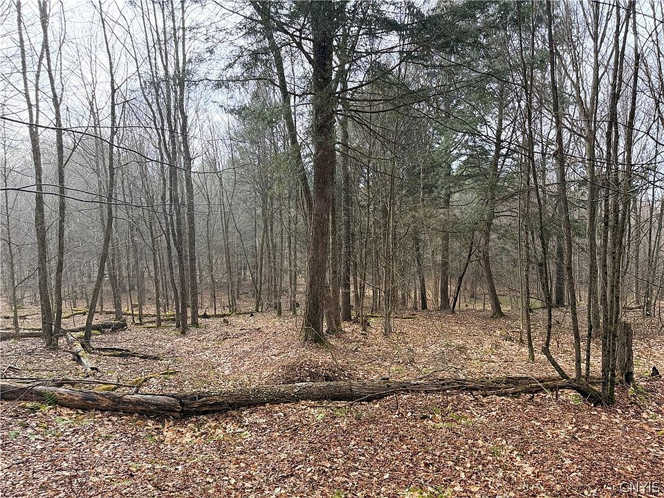 1st image of Solitude Forest Dr Lot 2