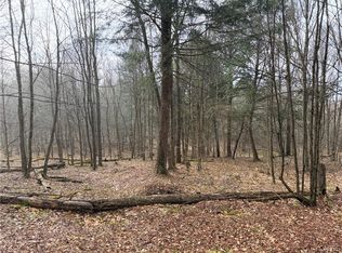 Solitude Forest Dr Lot 2, Cincinnatus, NY
