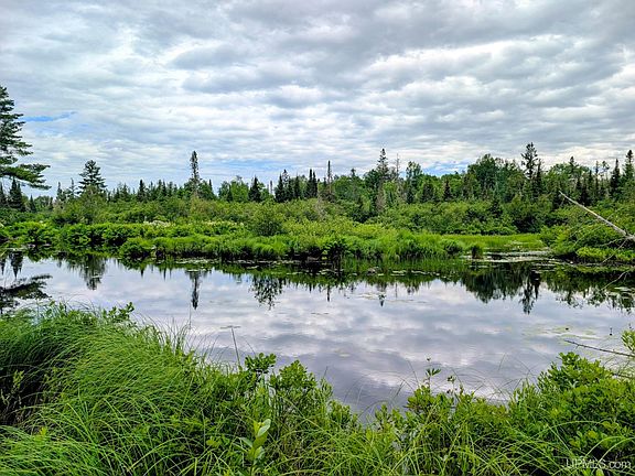 4th image of Net River Rd