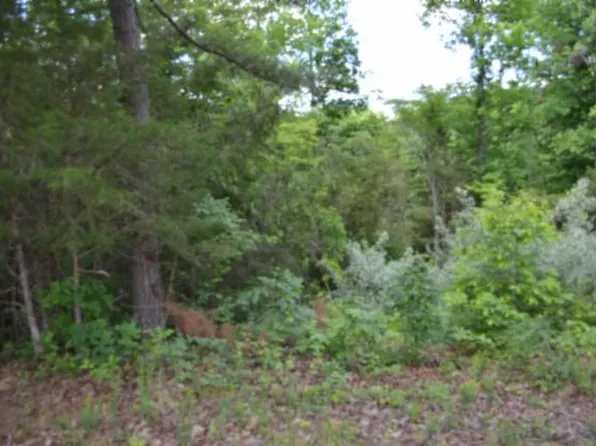 275AC Beauchamp Rd, Burkesville, KY 42717