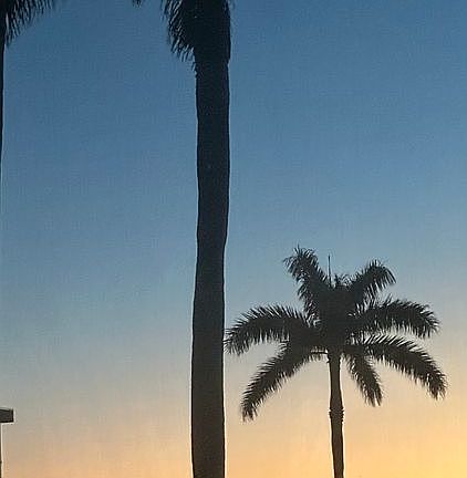Watch sunrise from bed!