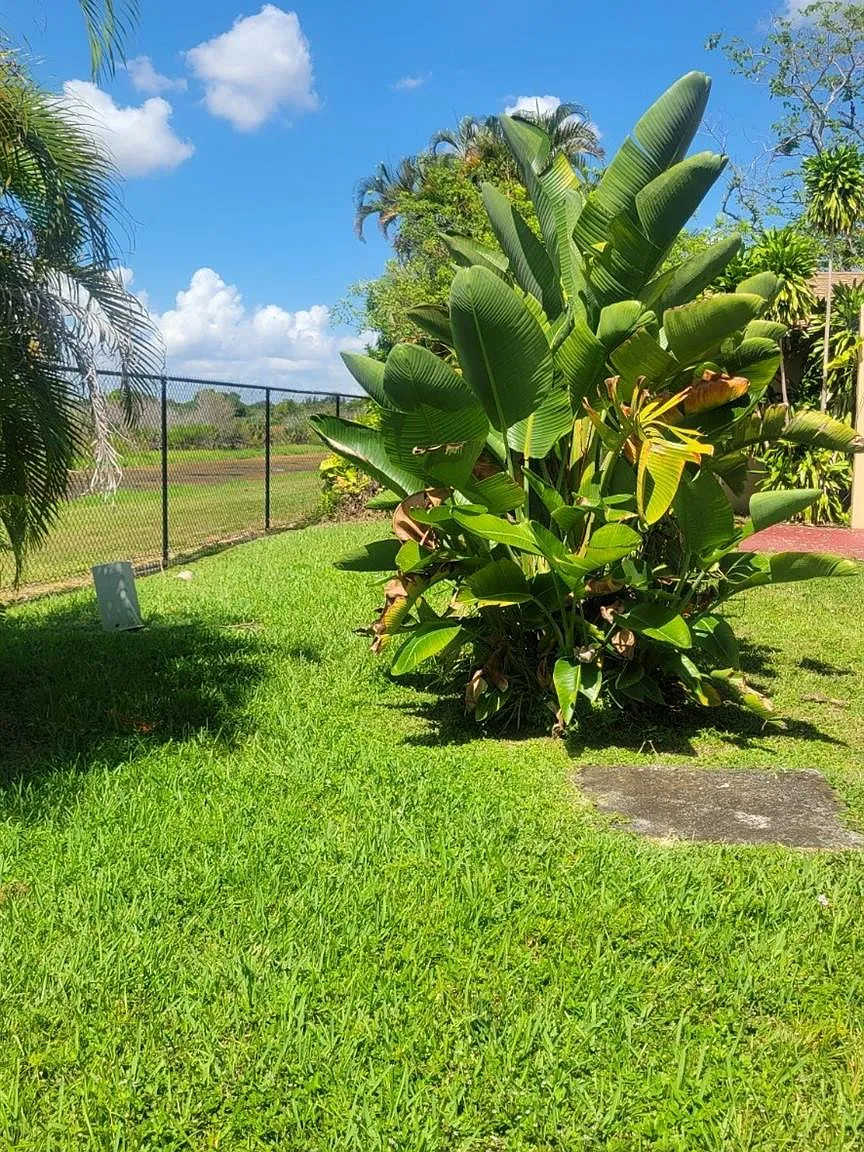 2 bed, 2.0 bath, 912 sqft, $2,600 — Photo 2