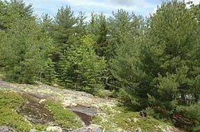 5th image of 226 Norway Dr