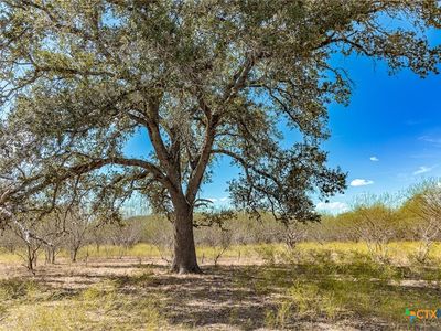 11341 Fm 340, Moulton, TX, 77975