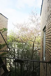 Rented by Chris Stewart, LREB