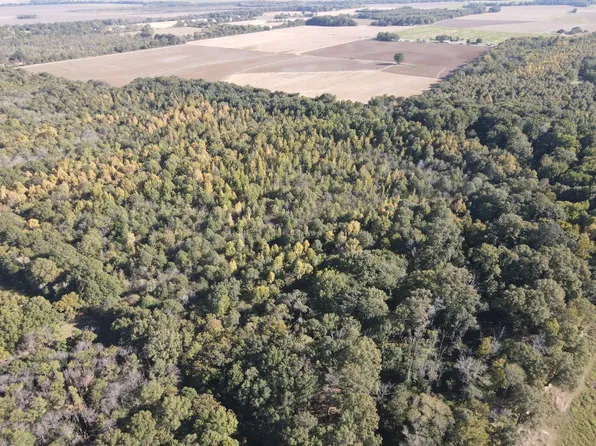 Highway 17 Lot Wp004, Oak Grove, LA 71263