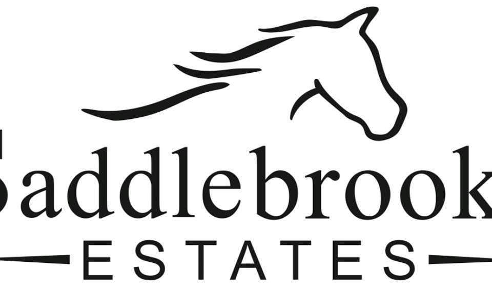 2nd image of 1133 Saddlebrooke Cir #11