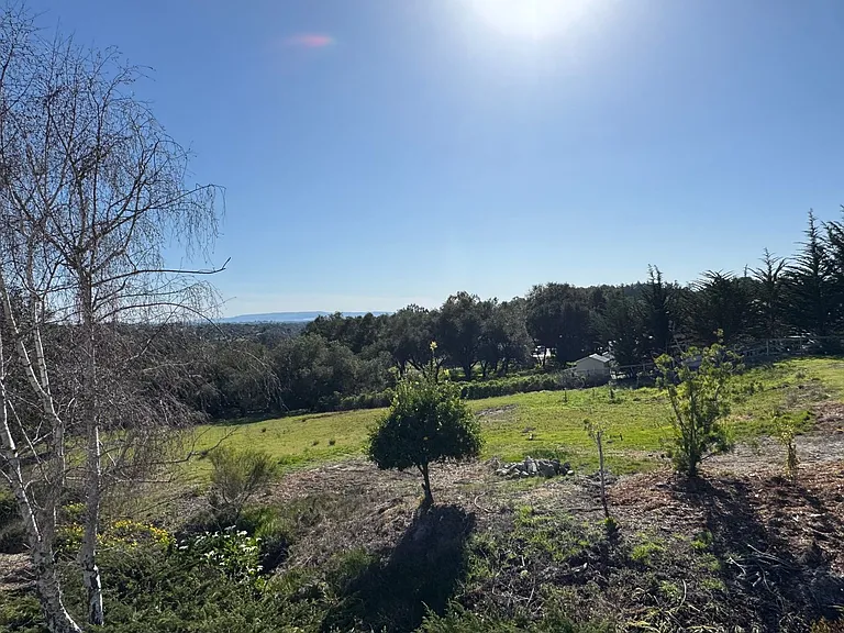 1571 Vista Grande Ln — Photo 19