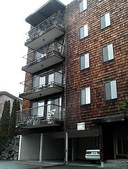 Image Caption