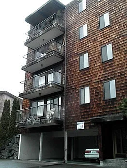 Image Caption