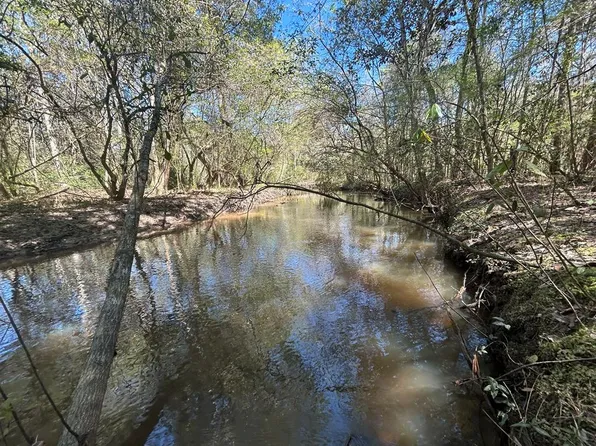 923 Lakeview Rd #159, Slocomb, AL 36375