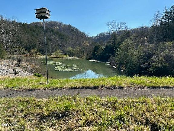 4th image of 742 Black Sheep Hollow Rd