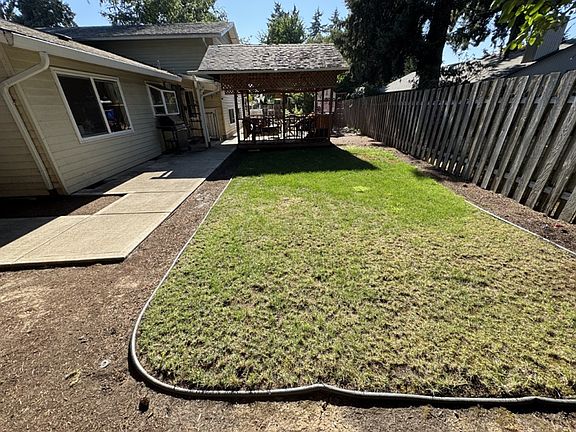 backyard - green side