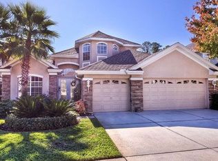 11648 Renaissance View Ct, Tampa, FL 33626