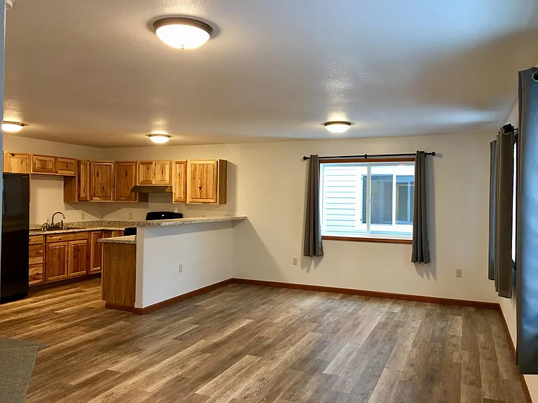 Living room kitchen
