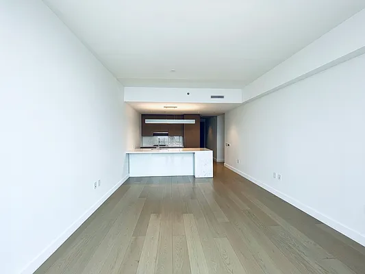 Rented by Luxian International Realty LLC | media 42