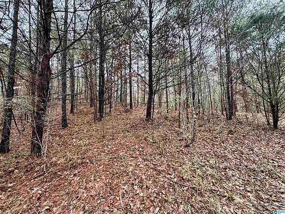 4th image of 8260 Kermit Johnson Rd #1-2-3B