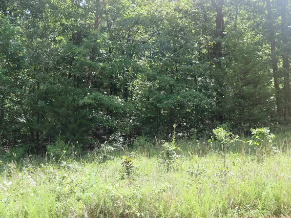 15 Armadillo Ln, Poughkeepsie, AR 72569