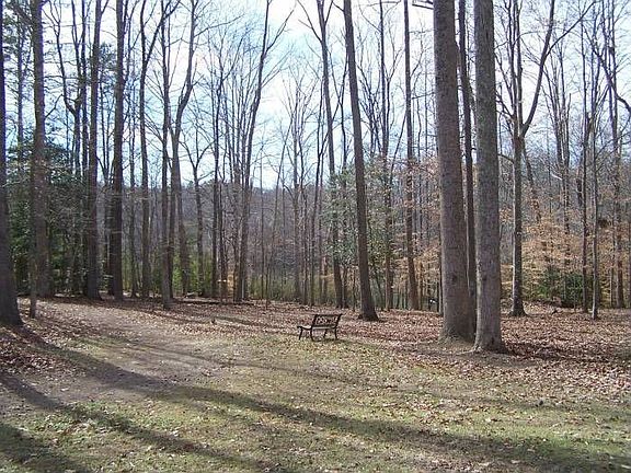 3rd image of 315 Wilkinson Dr