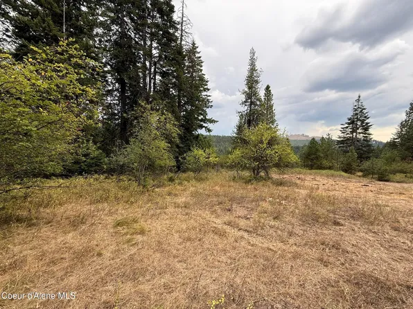 1083 Davis Creek Rd, Santa, ID 83866