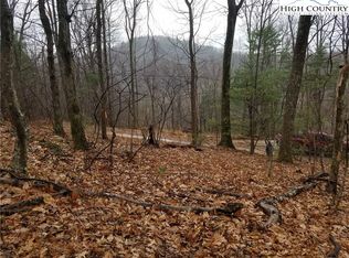 Thunderhead Trl, Lenoir, NC 28645