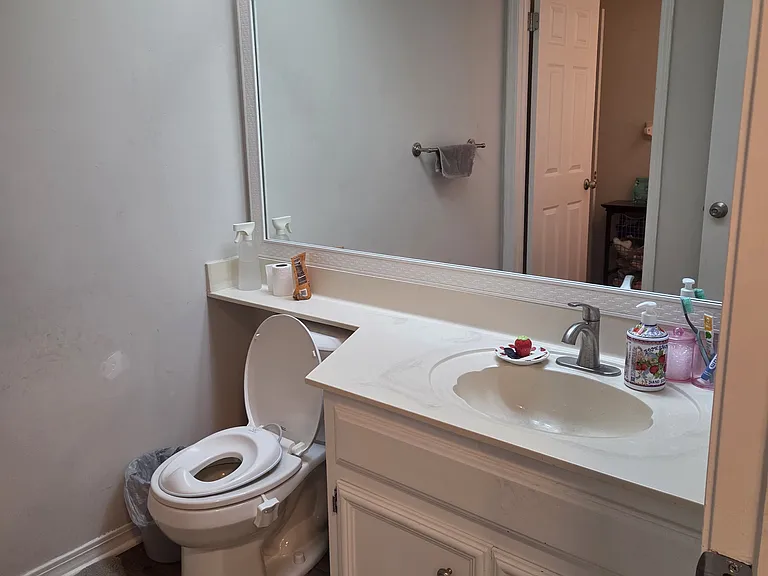 Downstairs bathroom toilet and sink room (2 room bathroom)