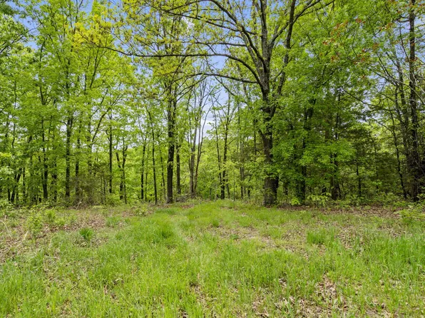 Lot 16 Gemstone Acres, Kimberling City, MO 65686