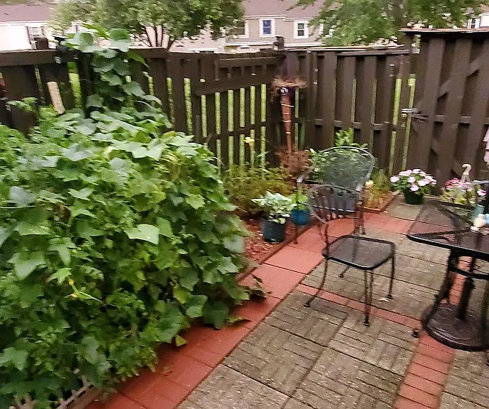 1927 Governors Ln — Photo 24