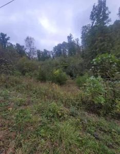 9999 Jonance Rd, Berea, KY, 40403