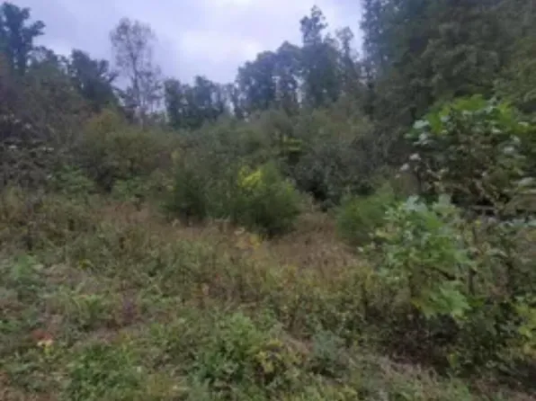 9999 Jonance Rd, Berea, KY 40403