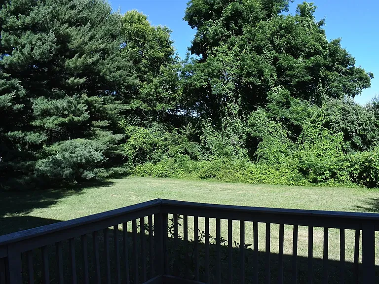 313 Burnt Plains Rd — Photo 16