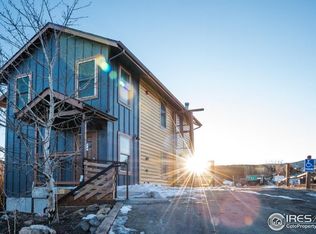 110 Snyder St #B, Nederland, CO 80466